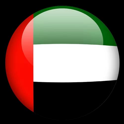 UAE flag