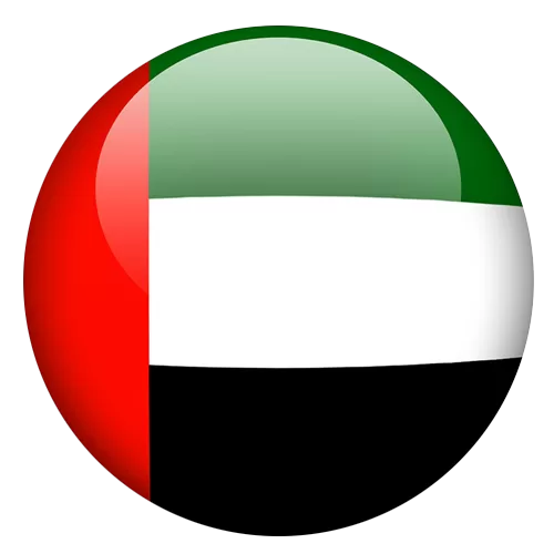 UAE flag