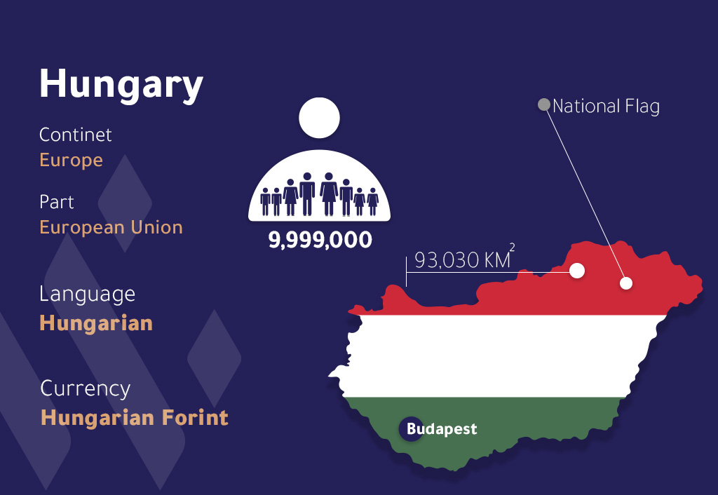 Hungary Flag with Demographics